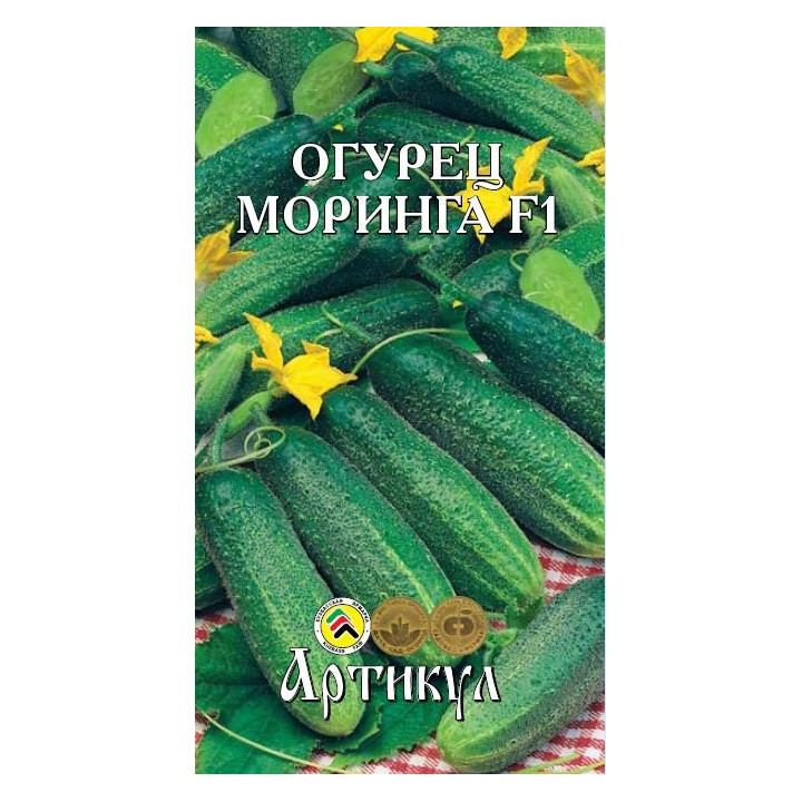 МОРИНГА