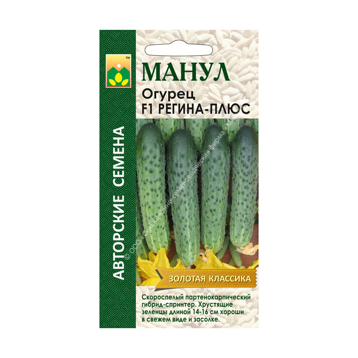 РЕГИНА ПЛЮС