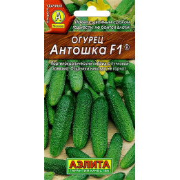 АНТОШКА