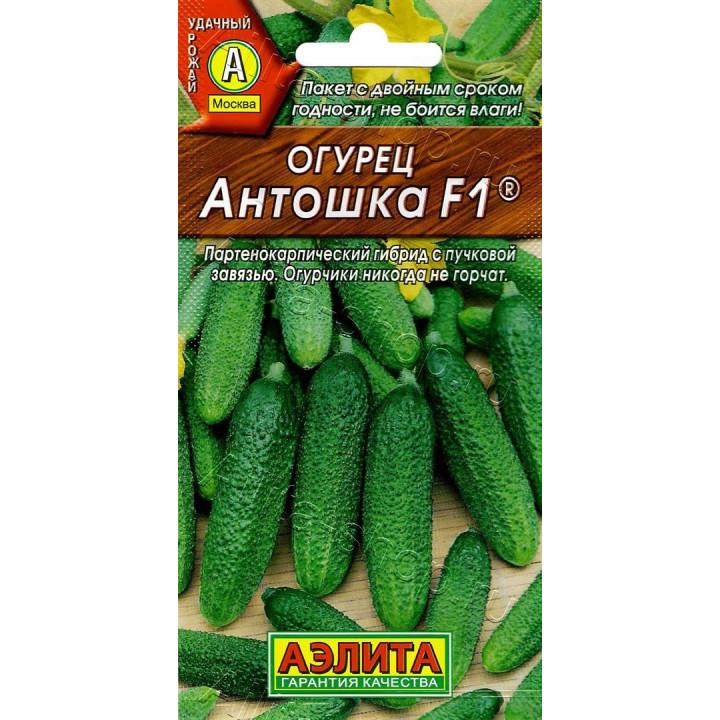 АНТОШКА
