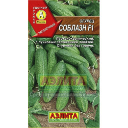 СОБЛАЗН
