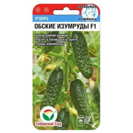 ОБСКОЙ