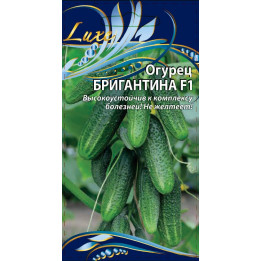 БРИГАНТИНА