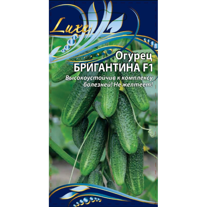 БРИГАНТИНА
