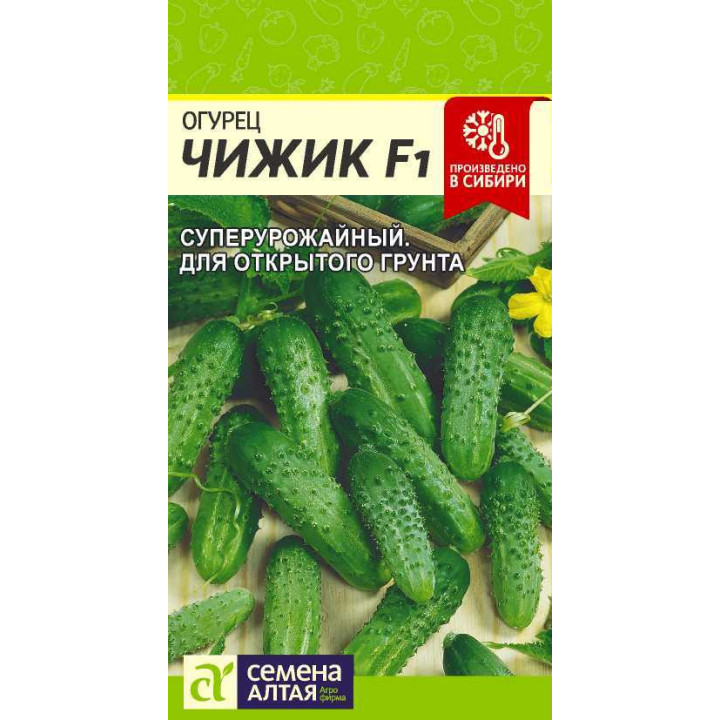 ЧИЖИК