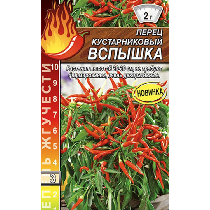 ВСПЫШКА