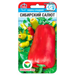 САЛЮТ