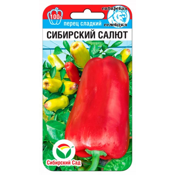 САЛЮТ