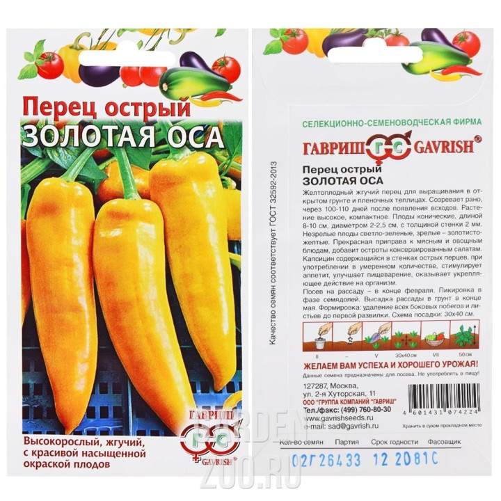 ЗОЛОТАЯ ОСА