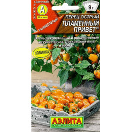 ПЛАМЕННЫЙ ПРИВЕТ