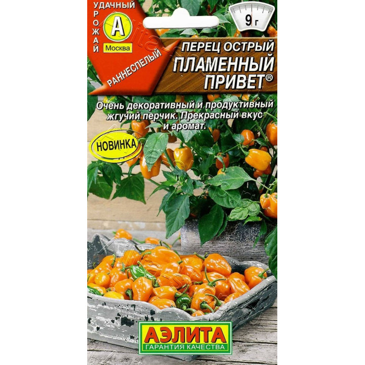 ПЛАМЕННЫЙ ПРИВЕТ