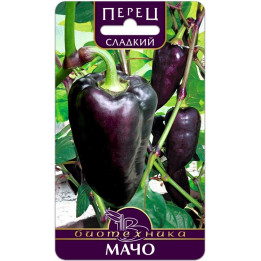 МАЧО