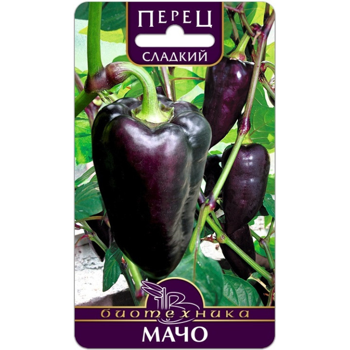 МАЧО