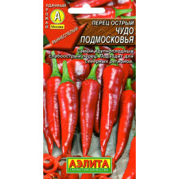 ЧУДО ПОДМОСКОВЬЯ