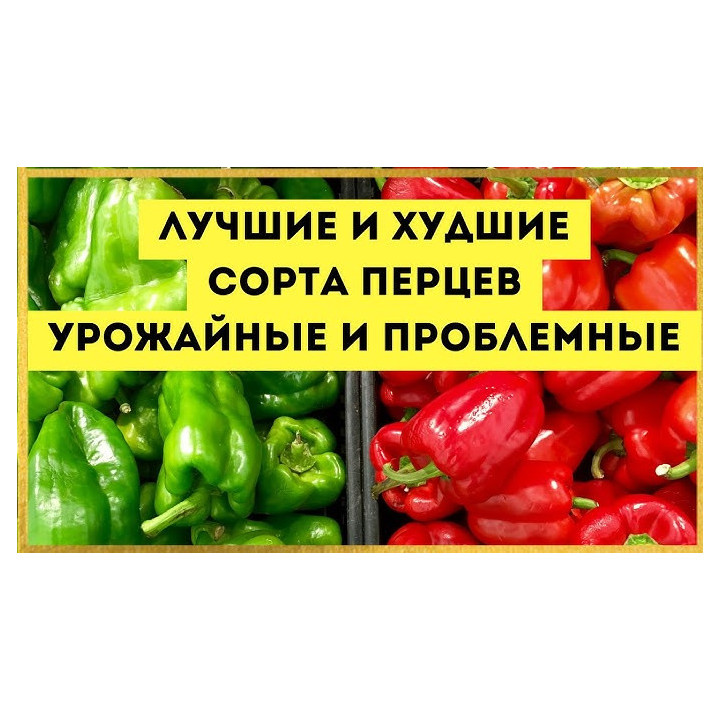 ШАЛЬНАЯ ИМПЕРАТРИЦА