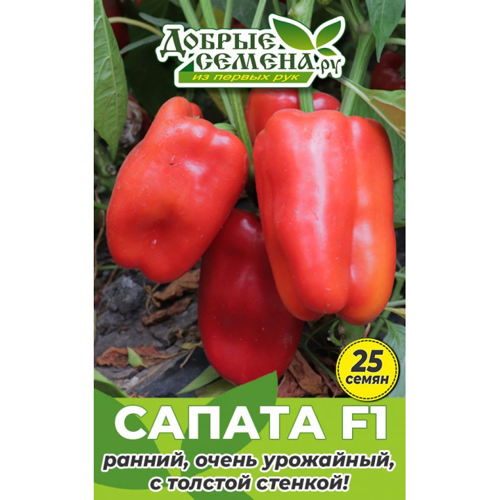 САПАТА