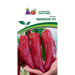 МАЖОР
