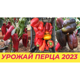 ОТЛИЧНИК