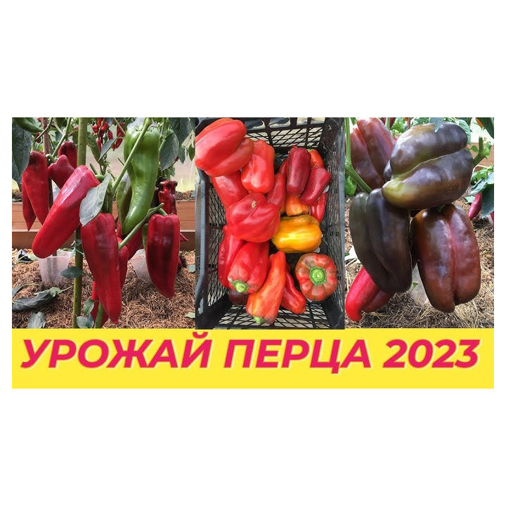 ОТЛИЧНИК