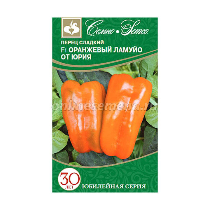 ОРАНЖЕВЫЙ ЛАМУЙОТ ЮРИЯ