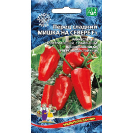 МИШКА НА СЕВЕРЕ
