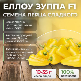 ЕЛЛОУ ЗУППА