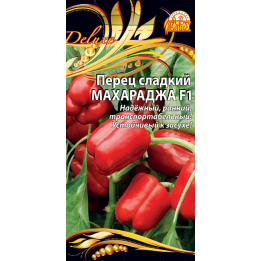 МАХАРАДЖА