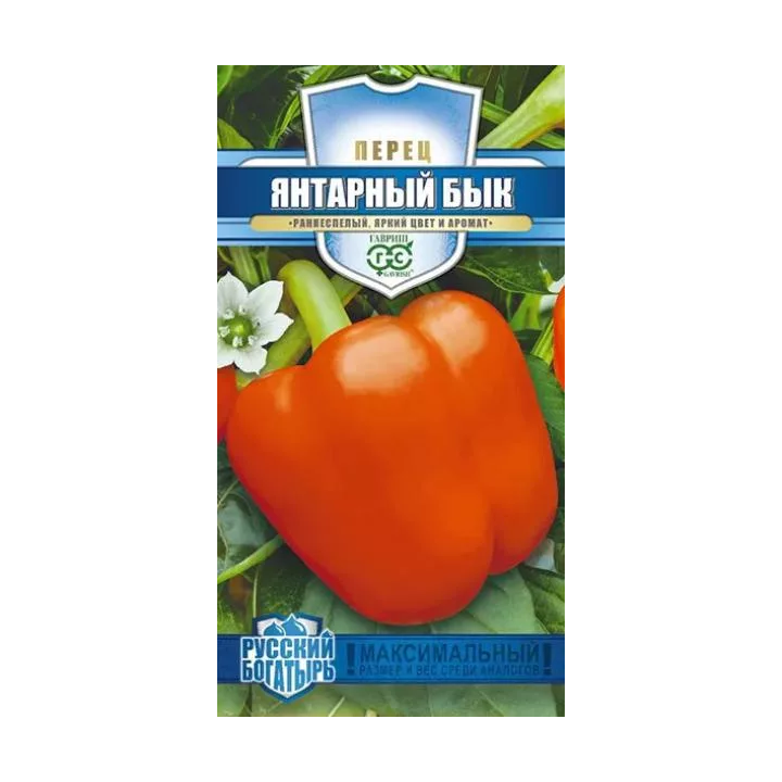 ЯНТАРНЫЙ БЫК