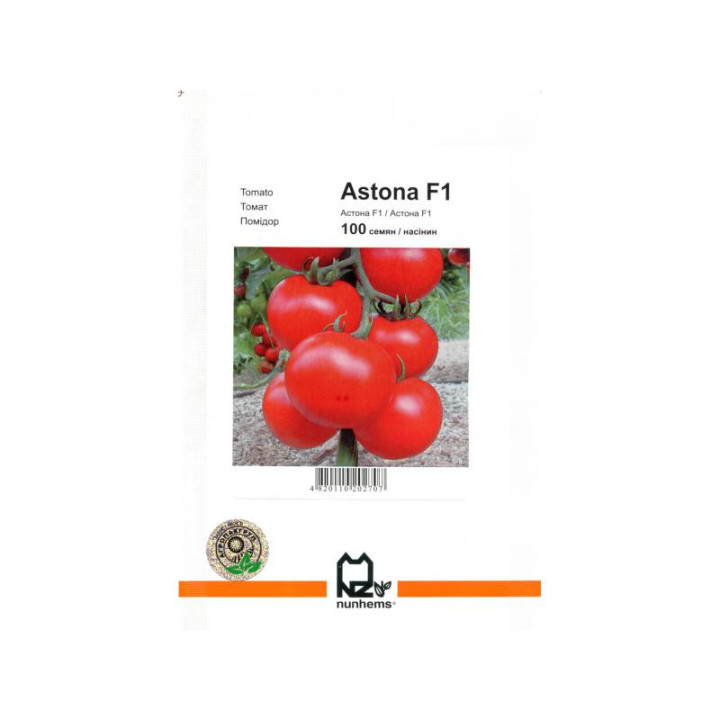 Астона F1 / Astona F1