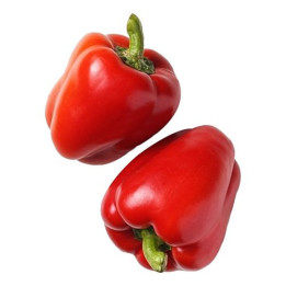 КУПЕР