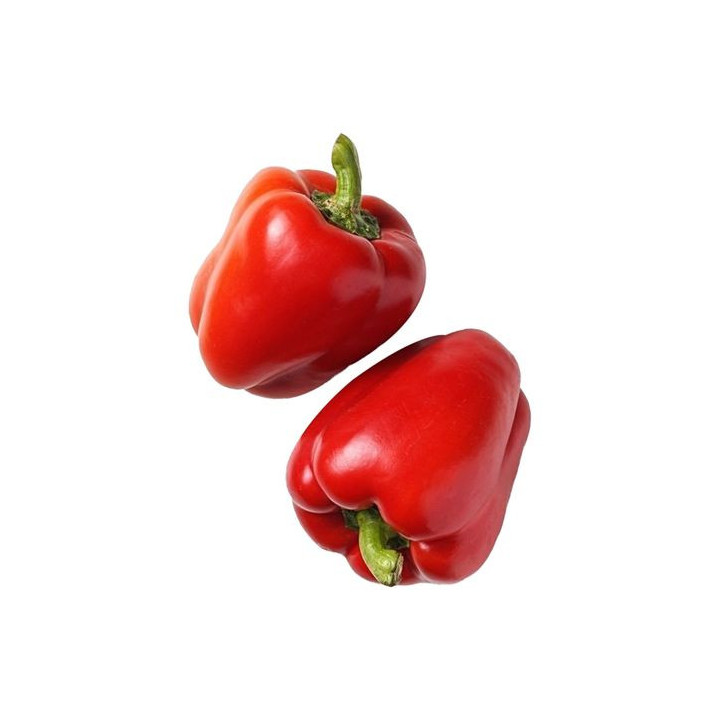 КУПЕР