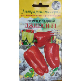 ДЖЕНСИ