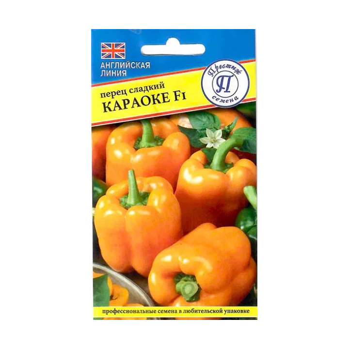 КАРАОКЕ