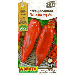 ГАСКОНЕЦ