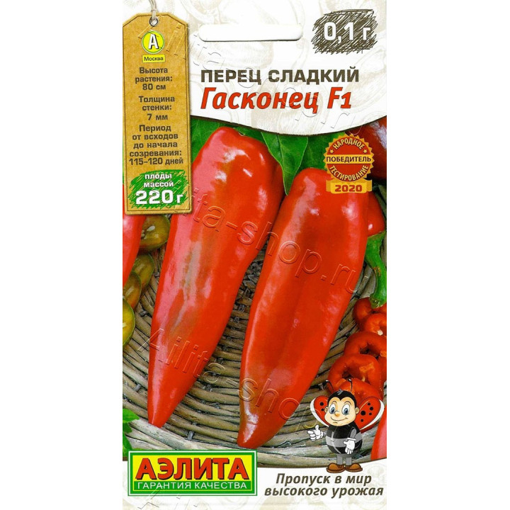 ГАСКОНЕЦ