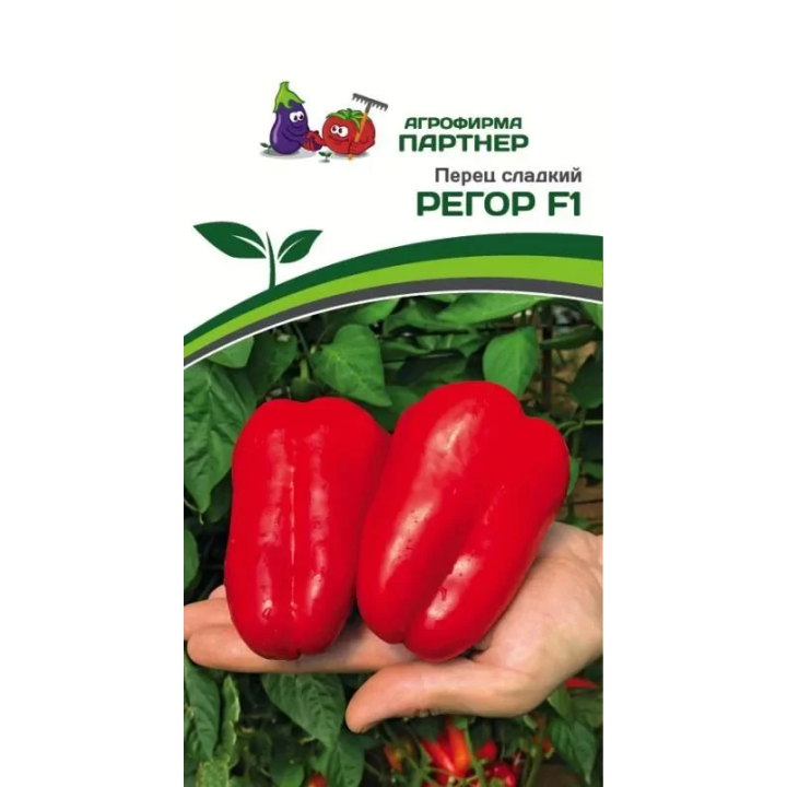 РЕГОР