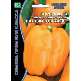 ЗНАТНЫЙ ТОЛСТЯК