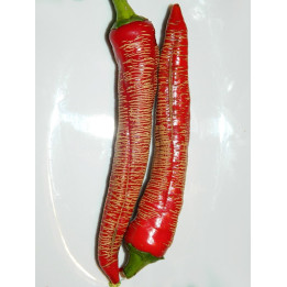 МАКЕДОНСКИЙ