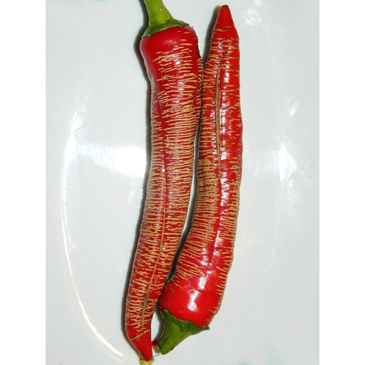 МАКЕДОНСКИЙ