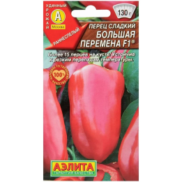 БОЛЬШАЯ ПЕРЕМЕНА