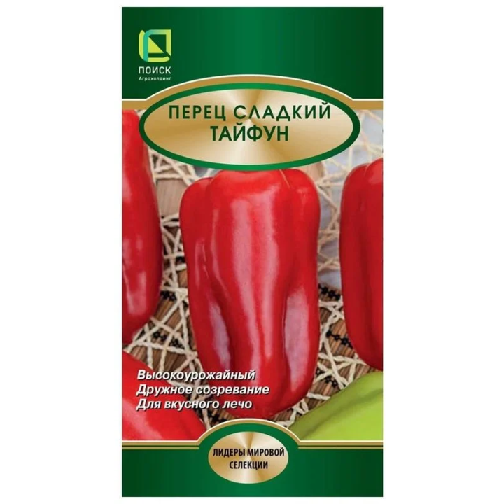 ТАЙФУН