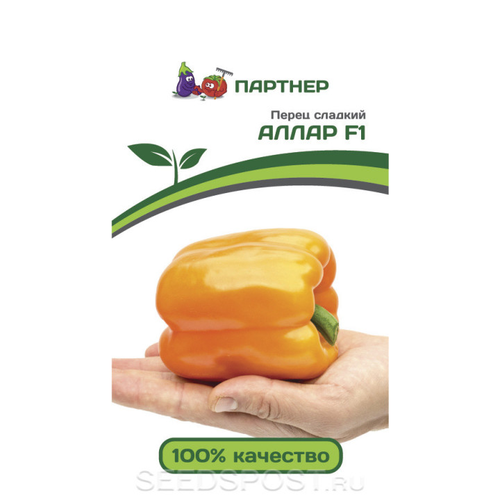 АЛЛАР