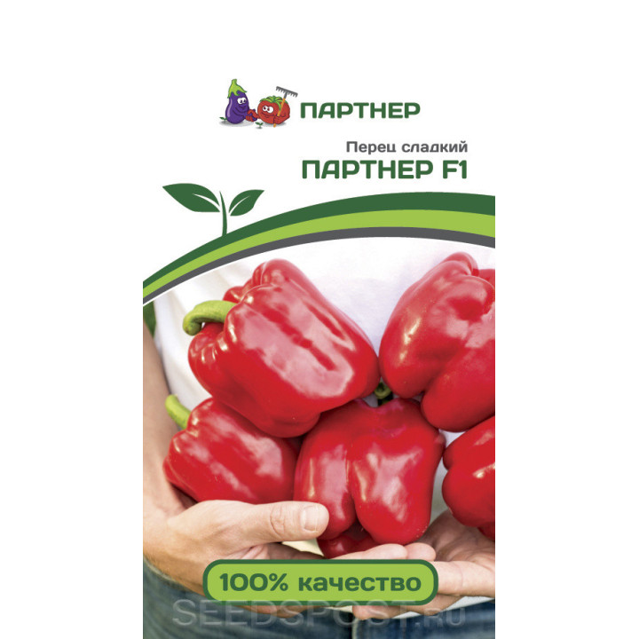 ПАРТНЕР