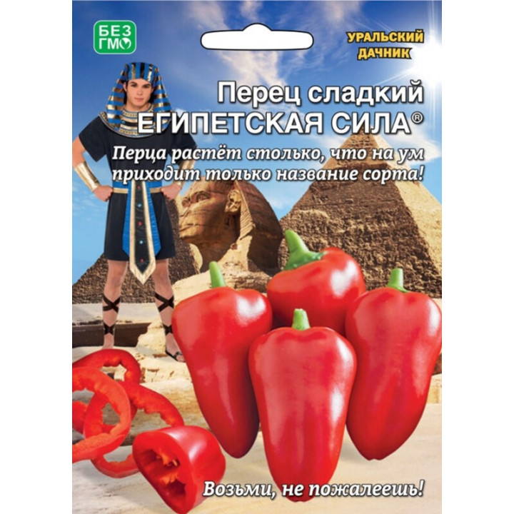 ЕГИПЕТСКАЯ СИЛА