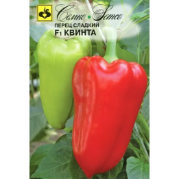 КВИНТА