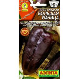 БОЛЬШАЯ УМНИЦА