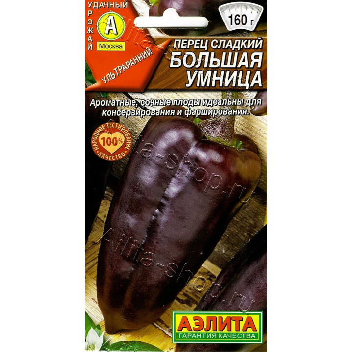 БОЛЬШАЯ УМНИЦА
