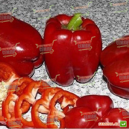 ТЕНДЕР БЭЛ