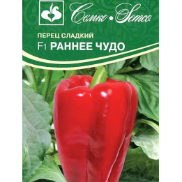 РАННЕЕ ЧУДО