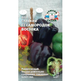 САМОРОДОК ВОСТОКА